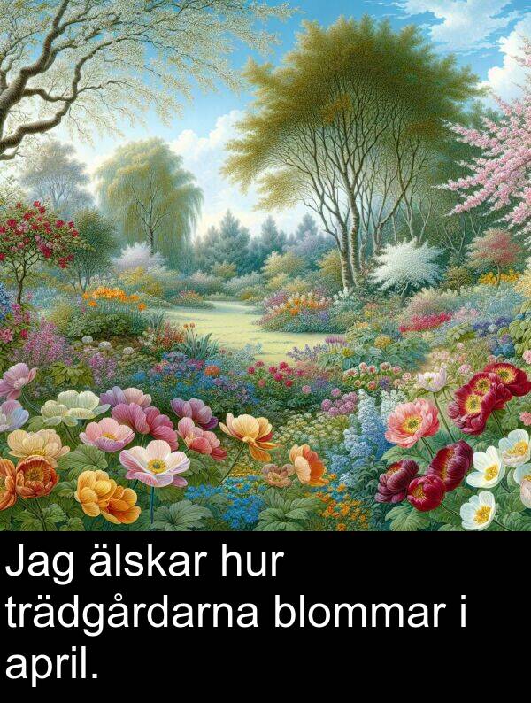 älskar: Jag älskar hur trädgårdarna blommar i april.