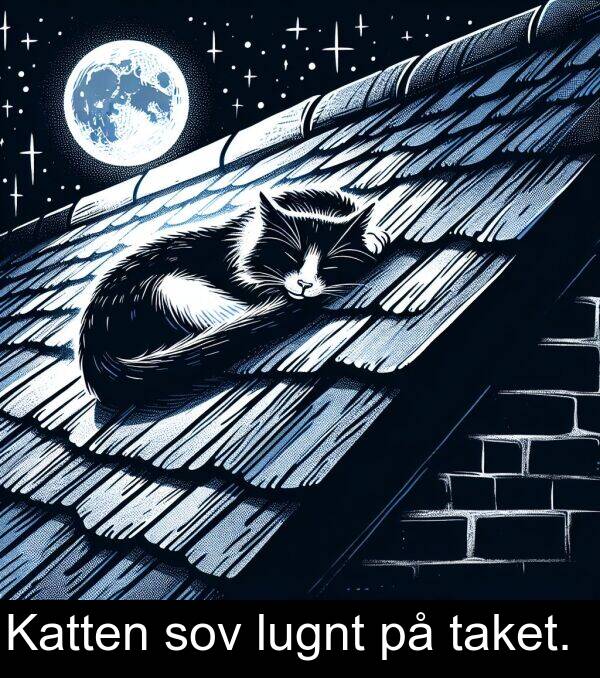 taket: Katten sov lugnt på taket.