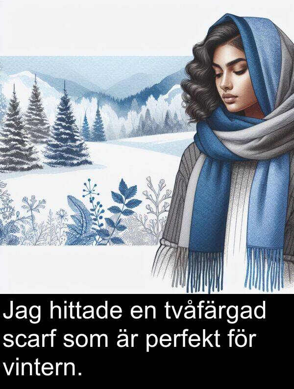 perfekt: Jag hittade en tvåfärgad scarf som är perfekt för vintern.