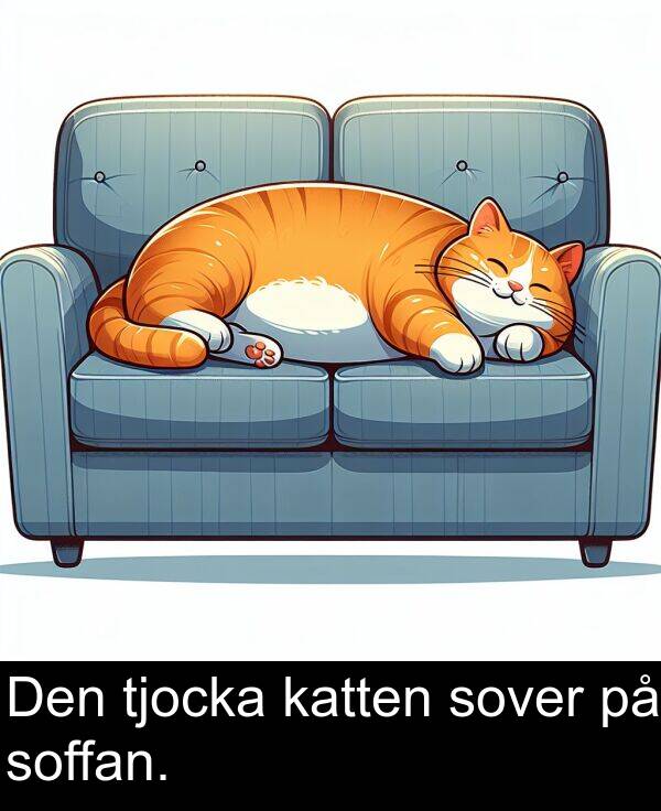 sover: Den tjocka katten sover på soffan.