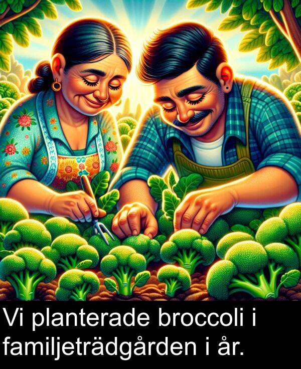 år: Vi planterade broccoli i familjeträdgården i år.