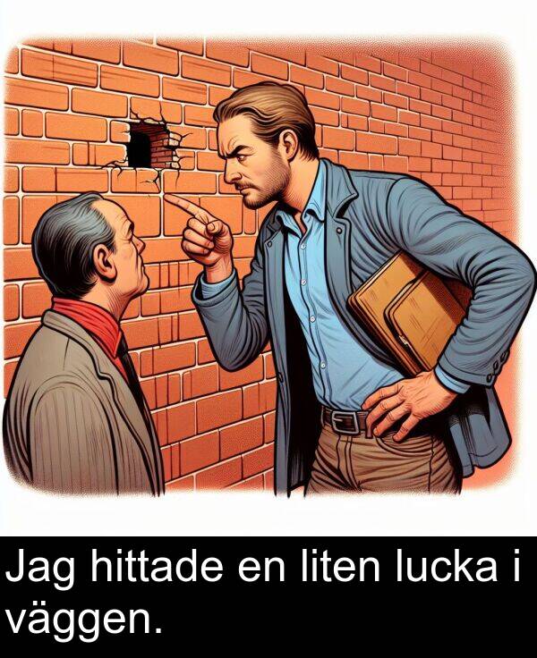 väggen: Jag hittade en liten lucka i väggen.