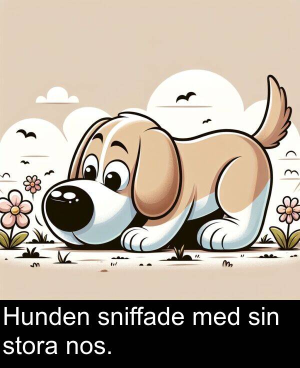 stora: Hunden sniffade med sin stora nos.