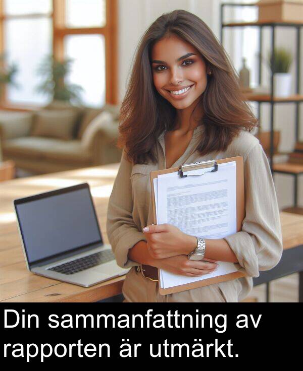 sammanfattning: Din sammanfattning av rapporten är utmärkt.