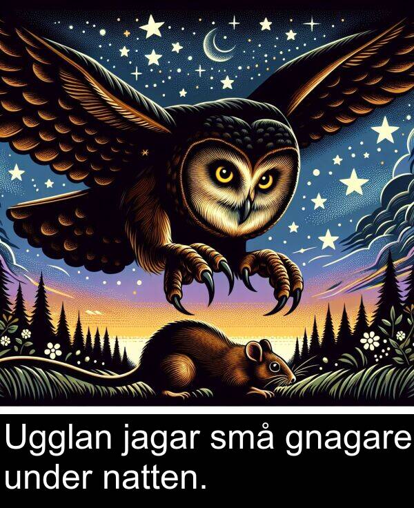 under: Ugglan jagar små gnagare under natten.