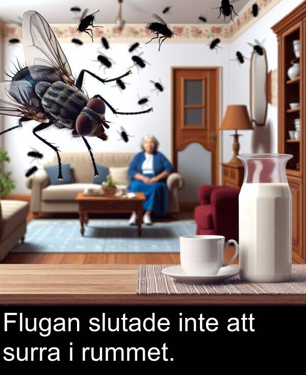 slutade: Flugan slutade inte att surra i rummet.