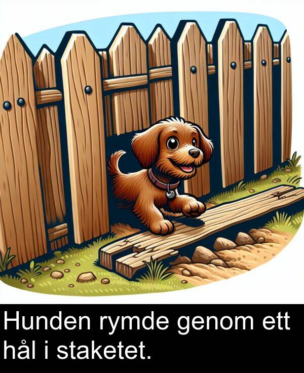 genom: Hunden rymde genom ett hål i staketet.