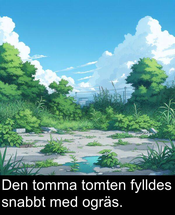 snabbt: Den tomma tomten fylldes snabbt med ogräs.