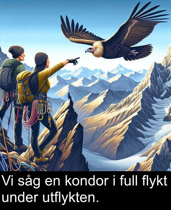 såg: Vi såg en kondor i full flykt under utflykten.