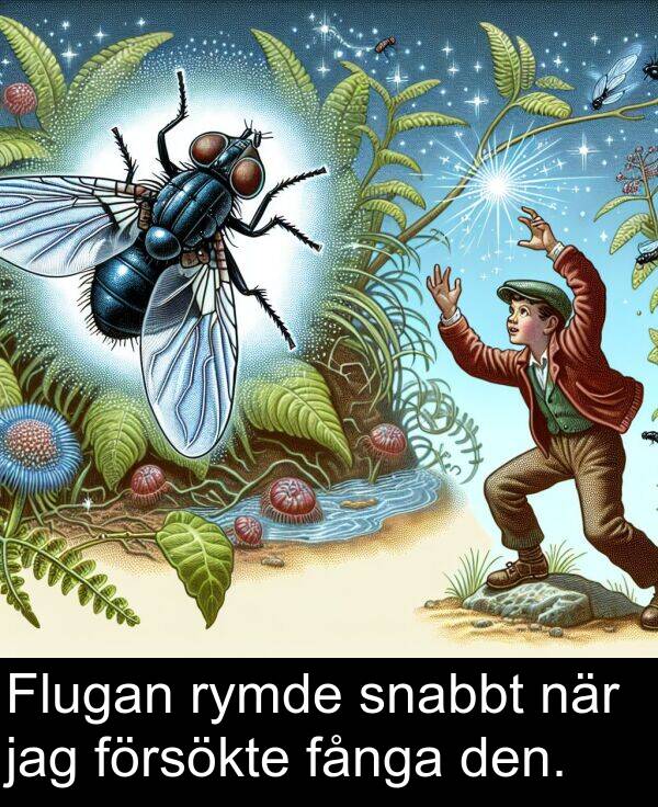 fånga: Flugan rymde snabbt när jag försökte fånga den.