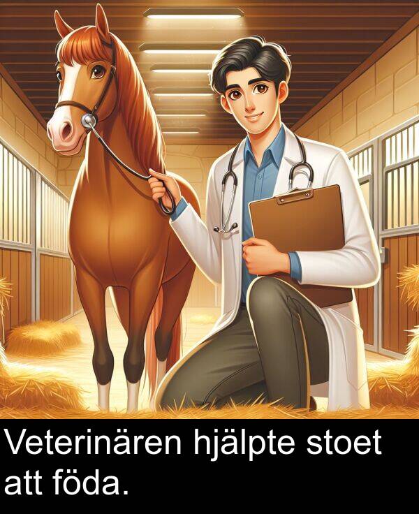 att: Veterinären hjälpte stoet att föda.