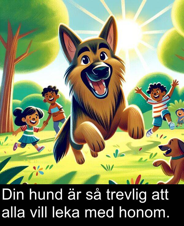 honom: Din hund är så trevlig att alla vill leka med honom.