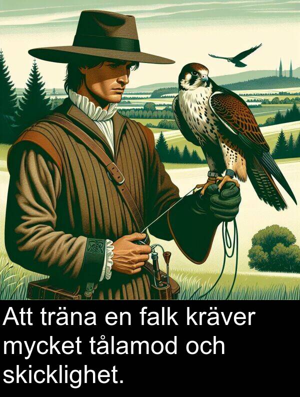 falk: Att träna en falk kräver mycket tålamod och skicklighet.