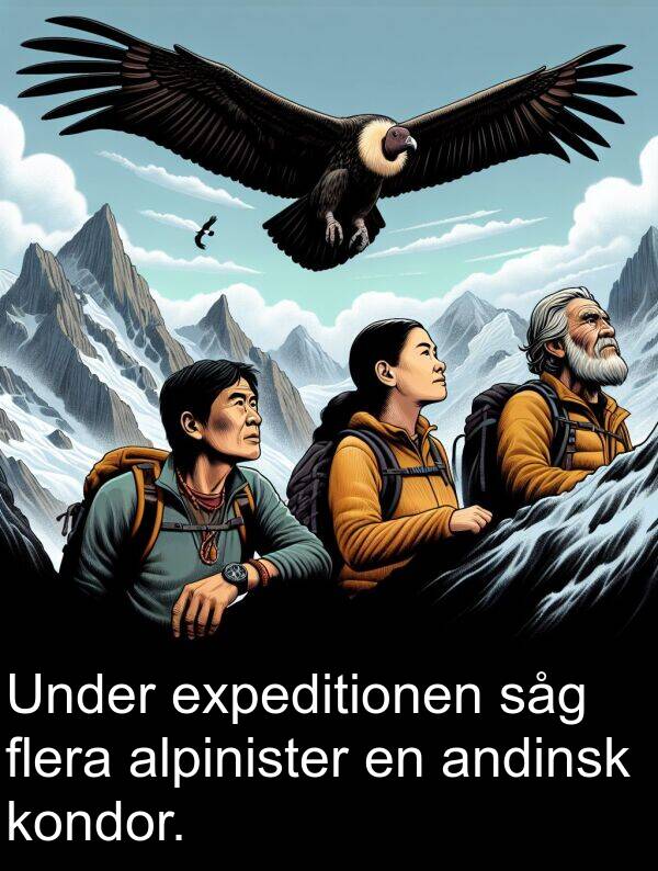 såg: Under expeditionen såg flera alpinister en andinsk kondor.