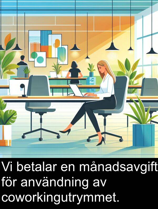 månadsavgift: Vi betalar en månadsavgift för användning av coworkingutrymmet.