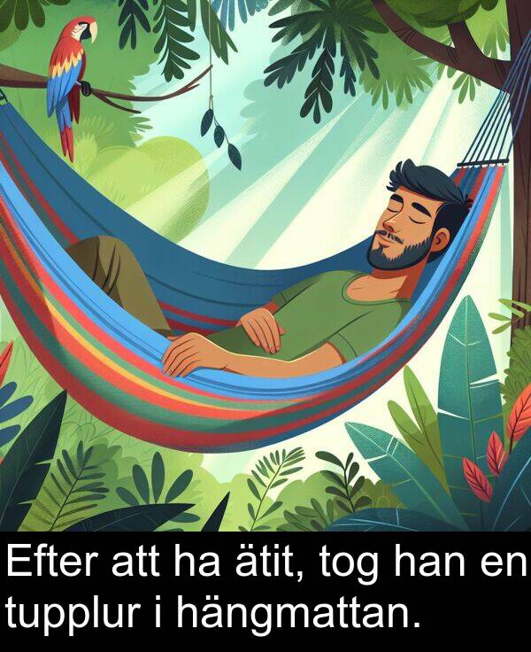 ätit: Efter att ha ätit, tog han en tupplur i hängmattan.