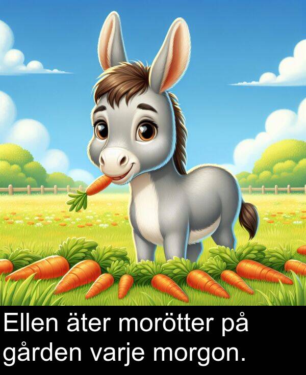 äter: Ellen äter morötter på gården varje morgon.