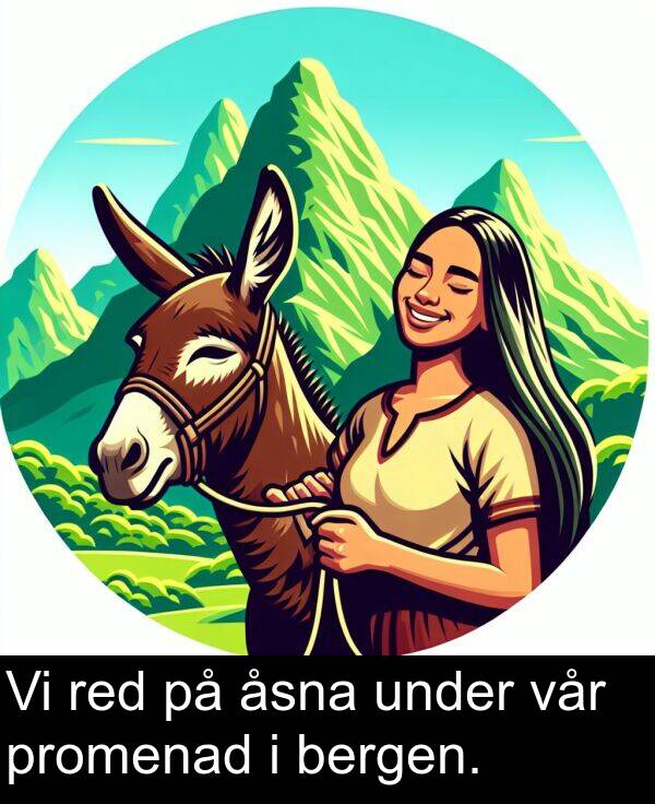 åsna: Vi red på åsna under vår promenad i bergen.