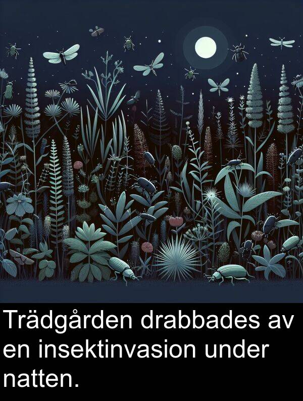 under: Trädgården drabbades av en insektinvasion under natten.