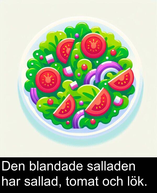 sallad: Den blandade salladen har sallad, tomat och lök.