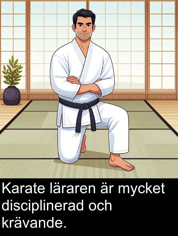 krävande: Karate läraren är mycket disciplinerad och krävande.