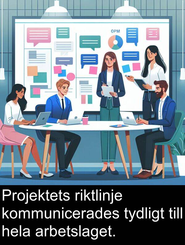 kommunicerades: Projektets riktlinje kommunicerades tydligt till hela arbetslaget.