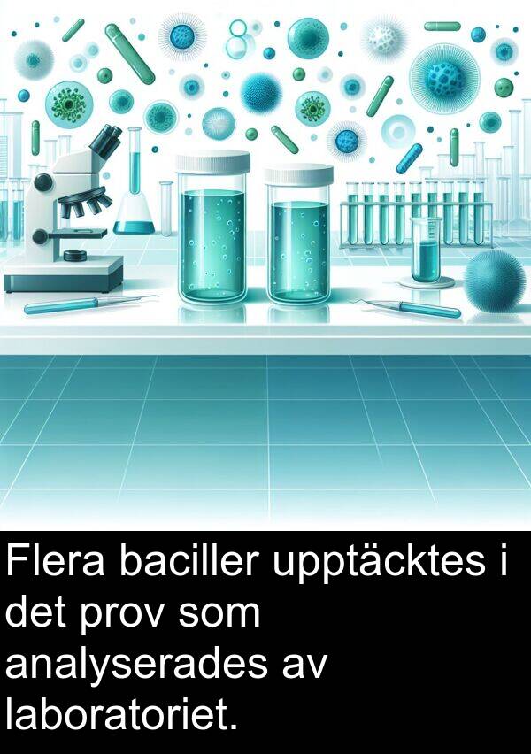 laboratoriet: Flera baciller upptäcktes i det prov som analyserades av laboratoriet.