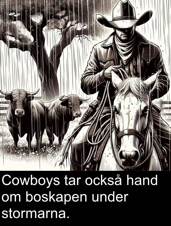 under: Cowboys tar också hand om boskapen under stormarna.