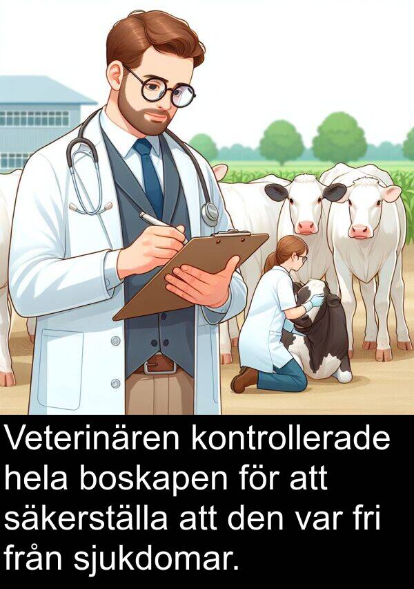 säkerställa: Veterinären kontrollerade hela boskapen för att säkerställa att den var fri från sjukdomar.