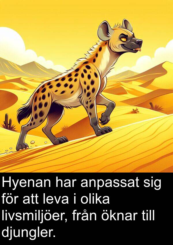 öknar: Hyenan har anpassat sig för att leva i olika livsmiljöer, från öknar till djungler.