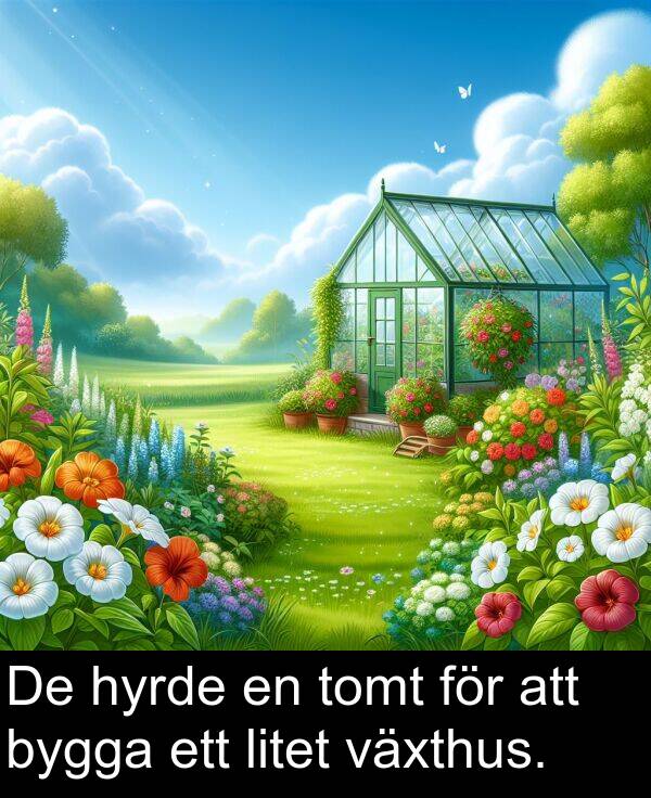 hyrde: De hyrde en tomt för att bygga ett litet växthus.