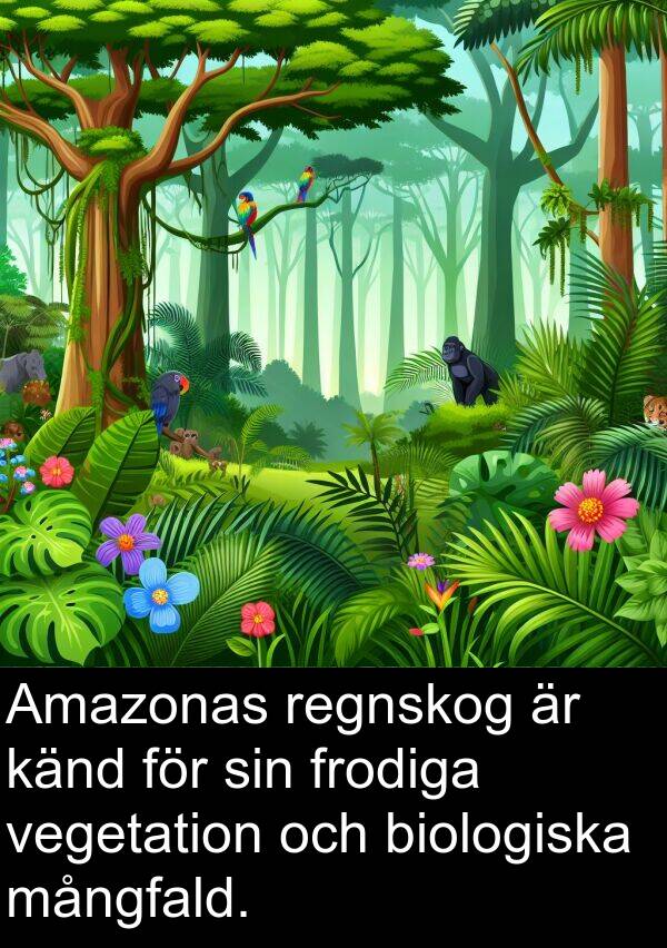 mångfald: Amazonas regnskog är känd för sin frodiga vegetation och biologiska mångfald.