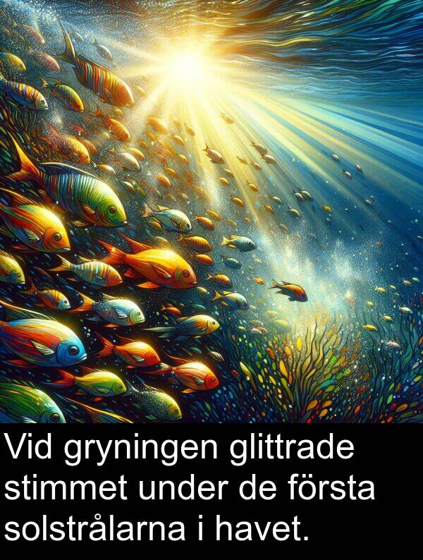 glittrade: Vid gryningen glittrade stimmet under de första solstrålarna i havet.