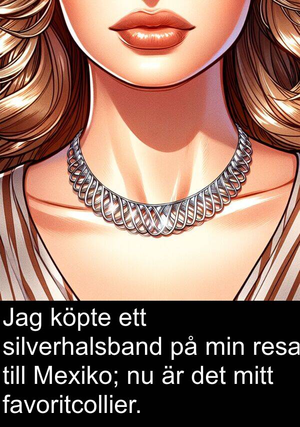 silverhalsband: Jag köpte ett silverhalsband på min resa till Mexiko; nu är det mitt favoritcollier.