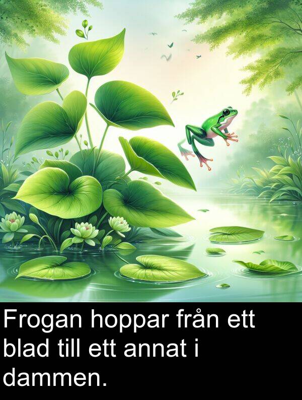 dammen: Frogan hoppar från ett blad till ett annat i dammen.