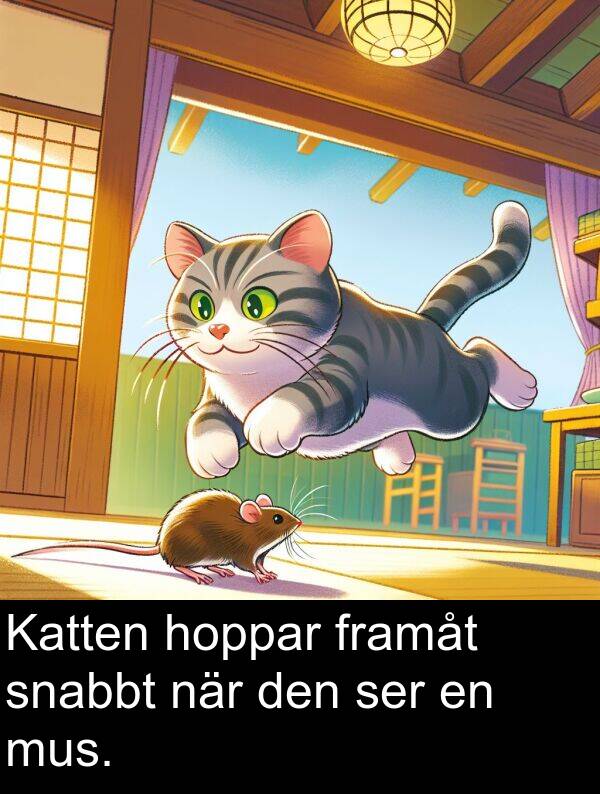 mus: Katten hoppar framåt snabbt när den ser en mus.