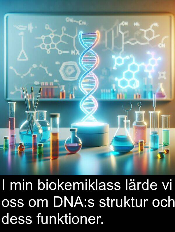 biokemiklass: I min biokemiklass lärde vi oss om DNA:s struktur och dess funktioner.