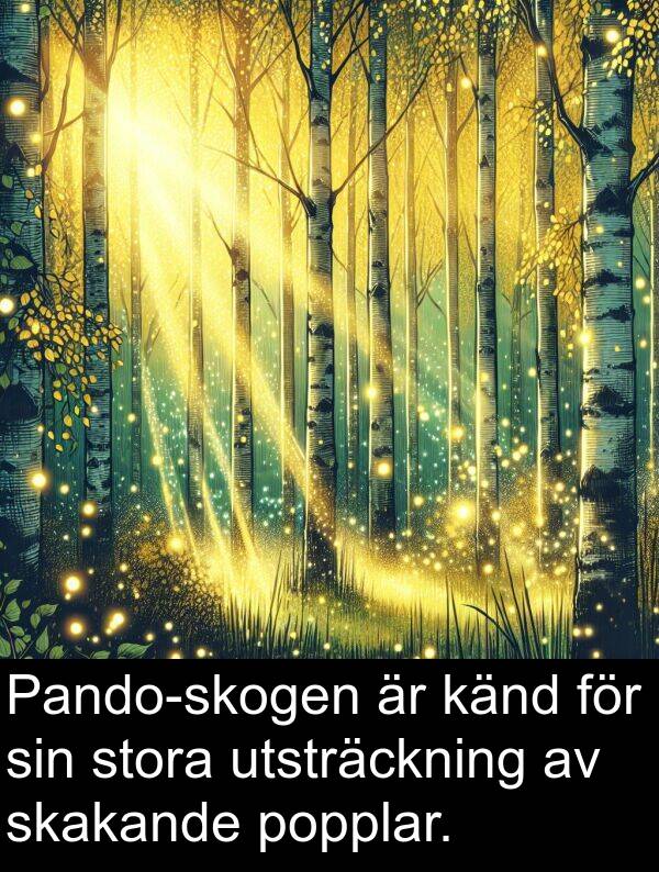 känd: Pando-skogen är känd för sin stora utsträckning av skakande popplar.