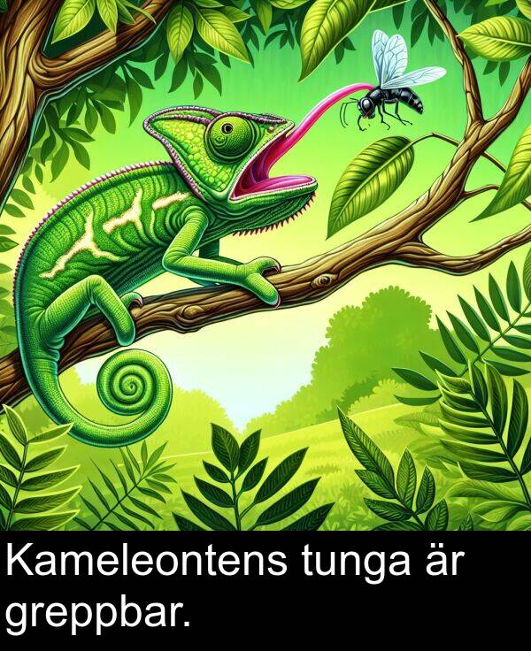 tunga: Kameleontens tunga är greppbar.