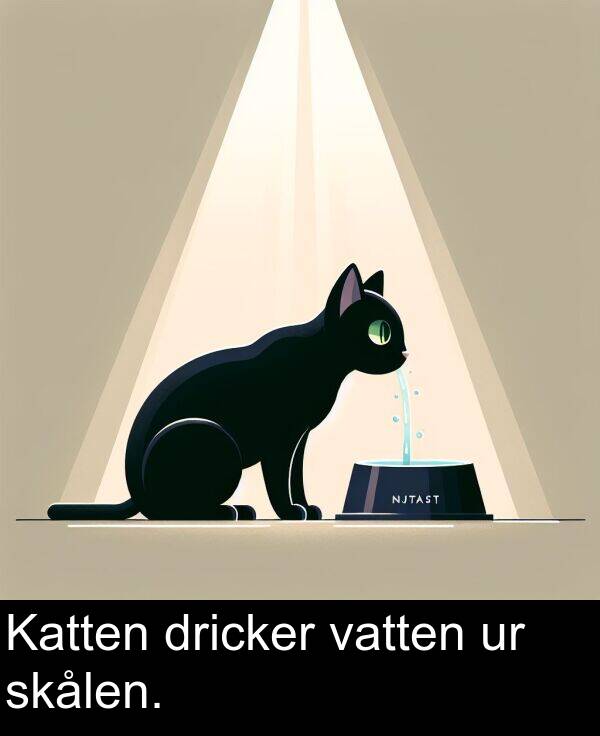 skålen: Katten dricker vatten ur skålen.