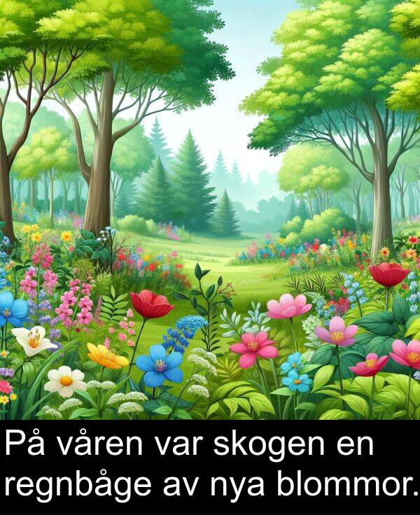 skogen: På våren var skogen en regnbåge av nya blommor.