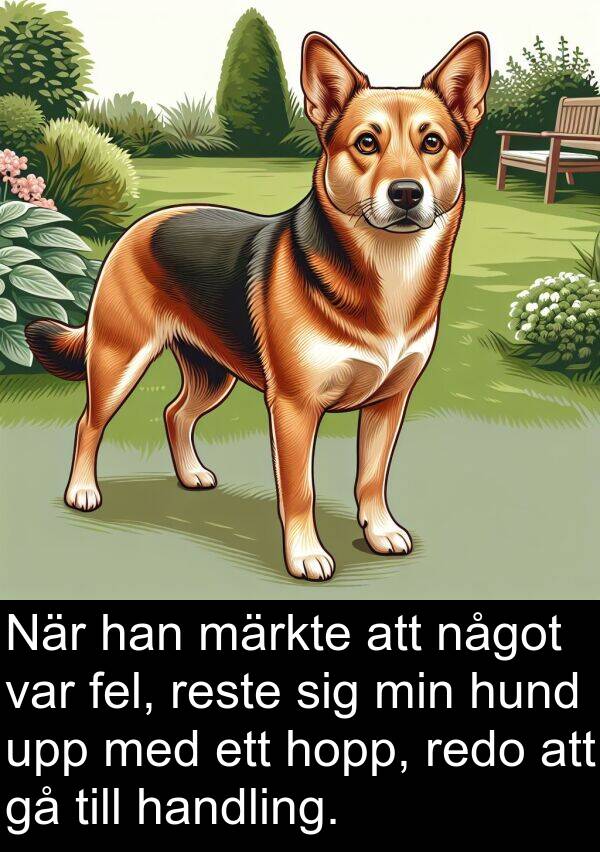 märkte: När han märkte att något var fel, reste sig min hund upp med ett hopp, redo att gå till handling.