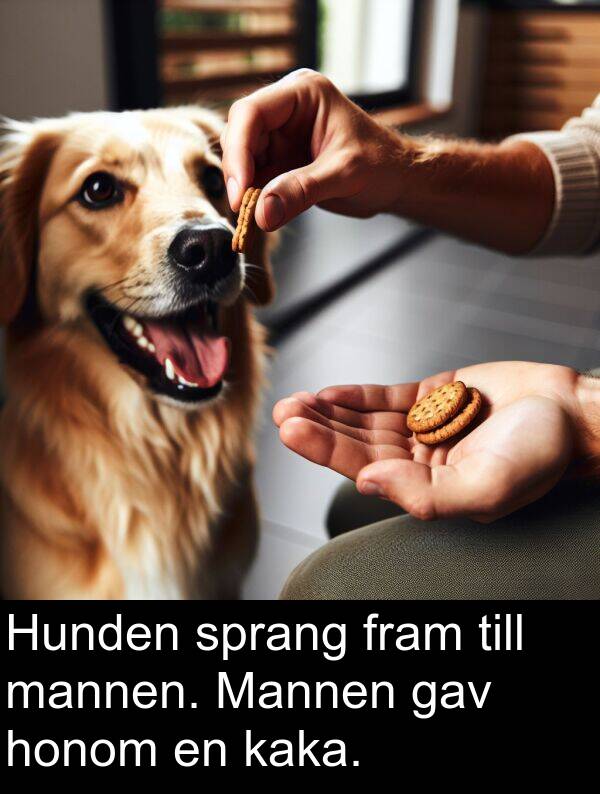 gav: Hunden sprang fram till mannen. Mannen gav honom en kaka.