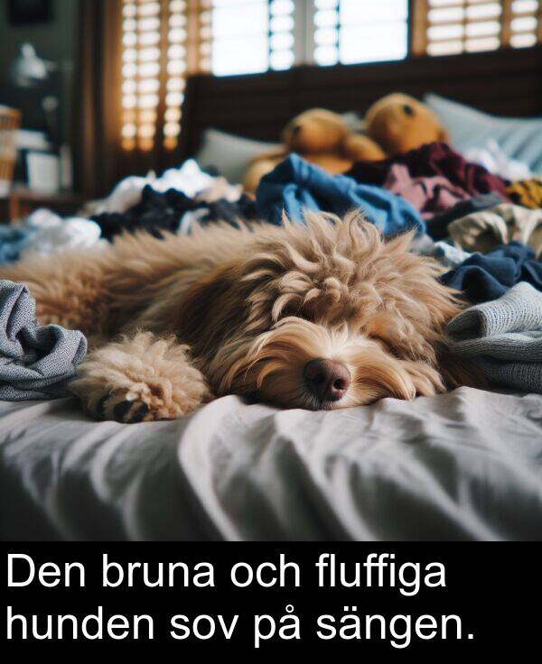 och: Den bruna och fluffiga hunden sov på sängen.