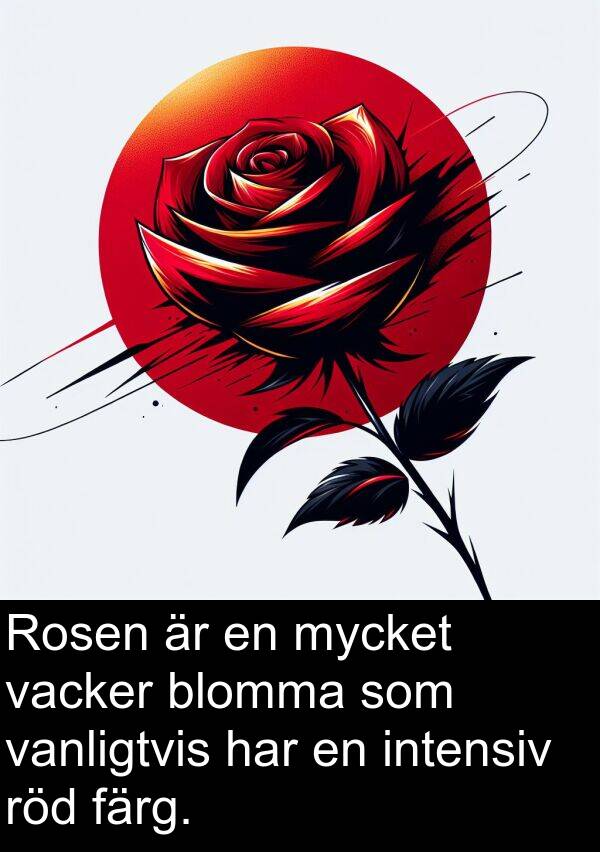 vacker: Rosen är en mycket vacker blomma som vanligtvis har en intensiv röd färg.