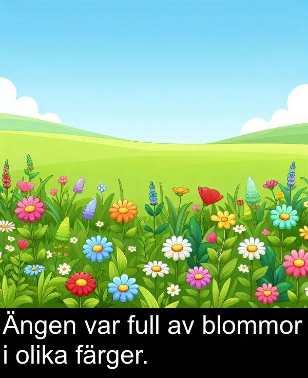 olika: Ängen var full av blommor i olika färger.