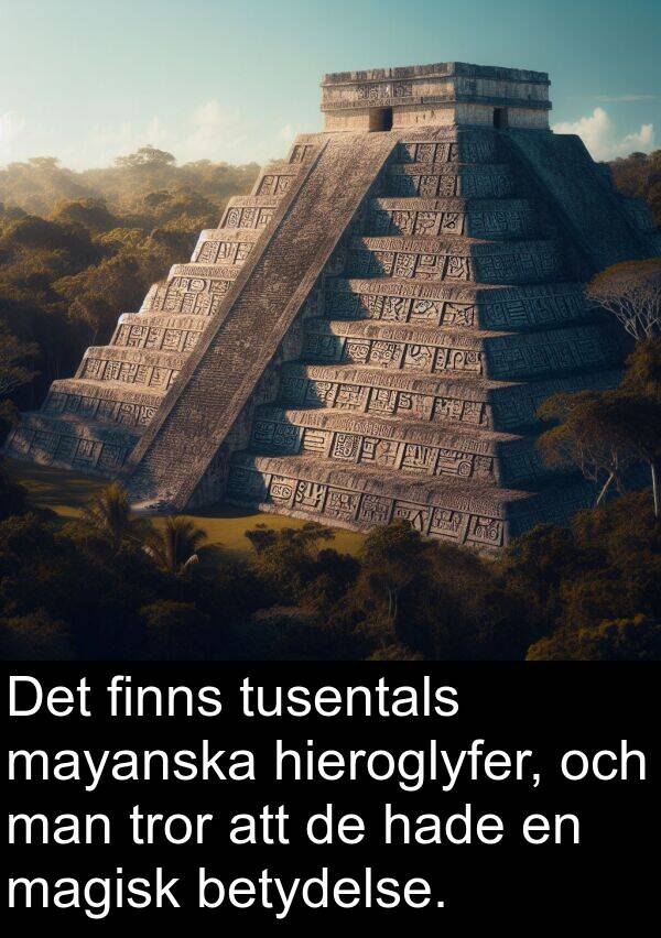 magisk: Det finns tusentals mayanska hieroglyfer, och man tror att de hade en magisk betydelse.