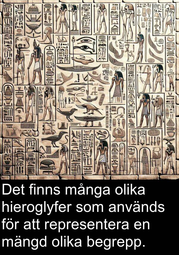 olika: Det finns många olika hieroglyfer som används för att representera en mängd olika begrepp.