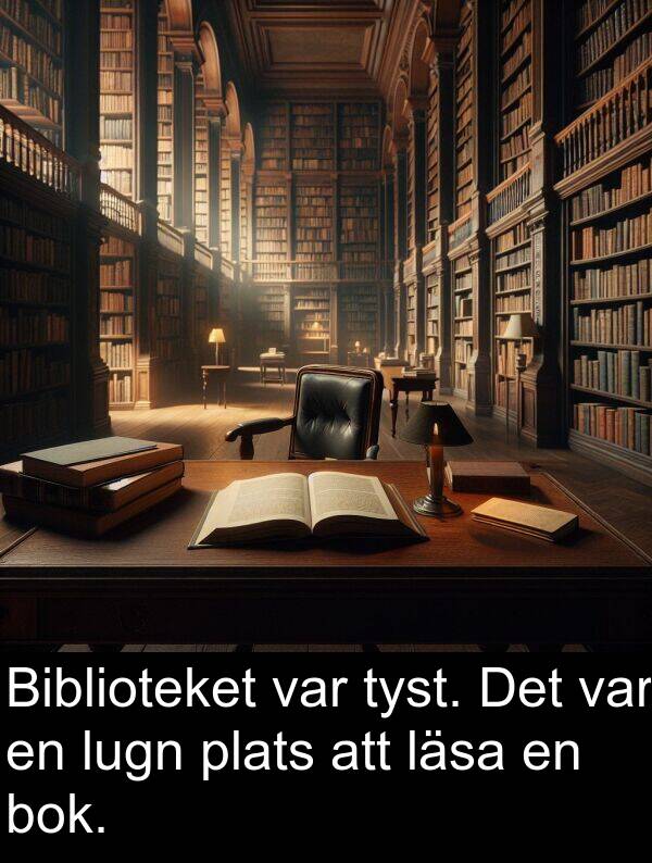 plats: Biblioteket var tyst. Det var en lugn plats att läsa en bok.