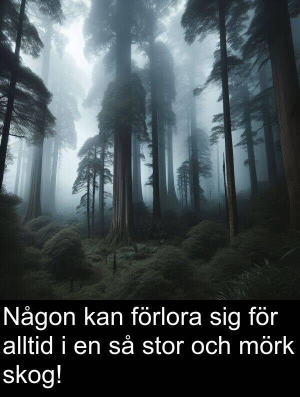 stor: Någon kan förlora sig för alltid i en så stor och mörk skog!